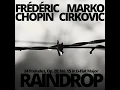 24 Preludes, Op. 28: No. 15 in D-Flat Major (Raindrop)