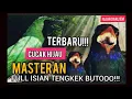 Download Lagu Masteran CUCAK IJO full Tembakan TENGKEK BUTO