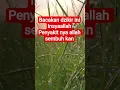 Download Lagu dzikir penyembuh penyakit. #amalankebaikan #dzikirdoamustajab #doamustajab #ceramahumum