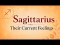 Sagittarius They can t hold back anymore Confession of feelings things falling in place