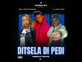 Download Lagu Mow Type ft Zoli White Smoke, Nanza SA - Ditsela Di Pedi [Official Audio]