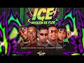 ICE E BECKZIN DE FLOR - DUCK NO BEAT,EO MISTERIO,MC CHEFE ORIGINAL,BIEL ACELERADO FEAT MC RAFA 22