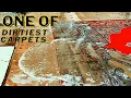 The Dirtiest Carpet Washing With Carpet Cleaner Machine: Film Odlly Cutting