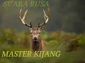 Download Lagu SUARA RUSA. PEMIKAT KIJANG/MASTER KIDANG.