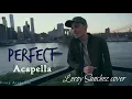 Leroy Sanchez  - Perfect (Ed Sheeran Cover) (Acapella/Voice Only)
