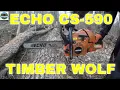 Echo CS-590 Timber Wolf Review After 2 Years