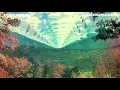 Desire Be Desire Go (Audio) - Tame Impala