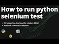 How to run python selenium test