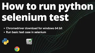 How to run python selenium test