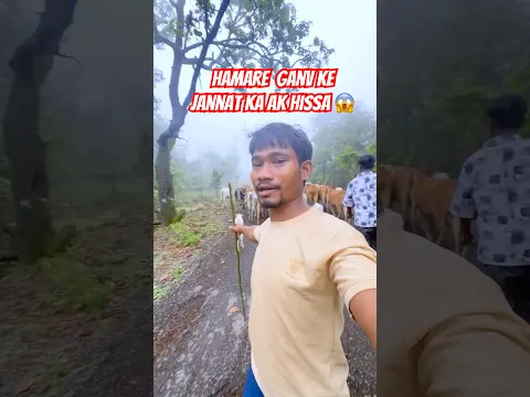 hamare ganv ke jannat ka ak hissa 🌺😱 #minivlog#viral#trending#village#shorts#reels#river#waterfall