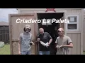 Azteca kikiriki breeder in texas Criadero La Paleta familia Ayala