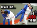 Massive Judo Throws from Common Street Fight Positions