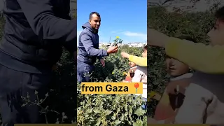 لم يبقى بالعمر ما قد ذهب    دندنها