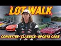 LOT WALK Huge Classic Corvette Collection for Sale