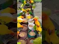 Download Lagu beautiful colorful birds #shorts
