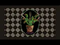 Luvcat - Vicious Delicious {lyric video}