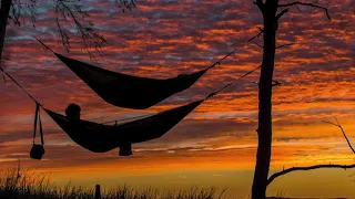 Lemon Tree Fools Garden Cover Lyrics Cover By Shania Yan 