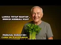 Download Lagu Rahasia Vitalitas di Usia Senja Manfaat Luar Biasa Seledri Untuk Lansia