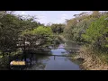 Download Lagu Twende: Mbui Nzau