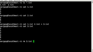 How to combine multiple text files into one file in Linux