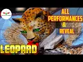 Download Lagu Masked Singer Leopard All Performances \u0026 Reveal | Season 2