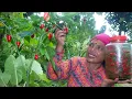 Download Lagu वषौं केहि नहुने खुर्सानीको अचार || Chilli Pickle Recipe || Khursaniko Achar Banaune Tarika