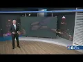 Rep Buchanan introduces bill to upgrade manatee status to endangered