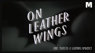 On Leather Wings - Rain Thunder Lightning