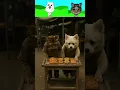 Download Lagu My Sprunki OC: OO EE AA Spinning Cat x My Sprunki OC Gabe the Dog -Street to Success 🚀