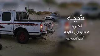 شيله اجبرو محبوبي بقوه دندنها