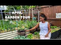 April Garden Tour How I Grow MORE Food in a Small Urban Garden DC