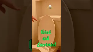 How Is Ablution Wudu Nullified Islam Viralislamicvideo Wudu Islamicshortvideo Shorts Sunnah 