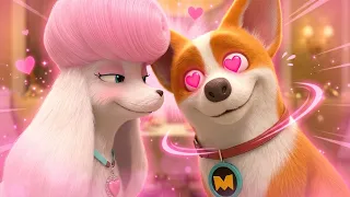 Moco's in Love! 💖🐩 | Flying Moco Full Episodes 🐶 | Funny Cartoon for Kids
