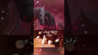 فكد الأهل الرادود توفيق الساري ضعن الأهل من راح مارد عليه 