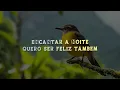 Natiruts - Quero Ser Feliz Também (Lyrics/Letra)