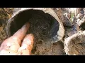 Can you clean corrugated Pipe