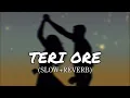 Teri Ore (Slowed + Reverb) | Rahat Fateh Ali Khan, Shreya Ghoshal | Singh Is Kinng