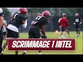 Gamecock Football First Scrimmage Intel and Reactions