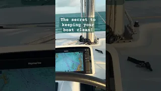 The secret to keeping your boat clean! #hawktuah #boat #sailboat #shorts #short #short-video