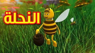 النحلة طيور بيبي Toyor Baby  النحلة طيور بيبي Toyor Baby