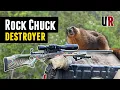 Varmint Annihilator DIY Facelift for a 223 Budget Rifle Savage Axis Boyds Stock ATN X-Sight 5