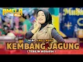 Lagu LAGU SASAK TERBARU KEMBANG JAGUNG TEBILIN MERARIK NANA NUTRIISARI AMELA MUSIK