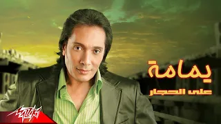                          على الحجار   يمامة دندنها