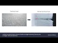 Download Lagu Backcountry Safety Basics Part 1: Snow Science