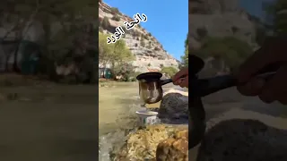 احلى جو واعدي مع فيروز النهر 