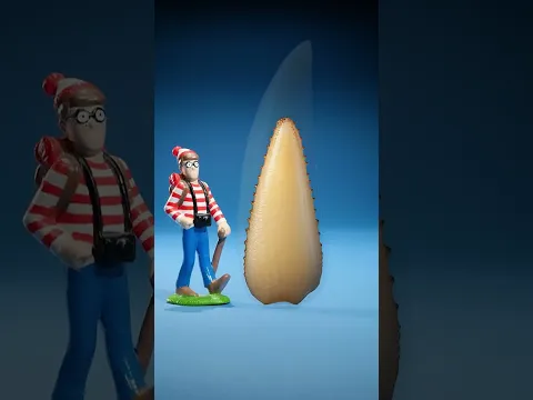 Mouse Tooth vs Whale Tooth