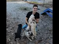 PetCenter Old Bridge Breeder Trip