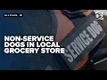 Allegan grocery store urges customers to follow service animal rules amid confrontations