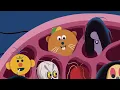 Los Punsetes, La Paloma - Una Persona Sospechosa (Visualizer)