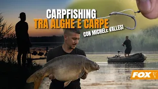 Carpfishing tra alghe e carpe - Con Michele Vallesi